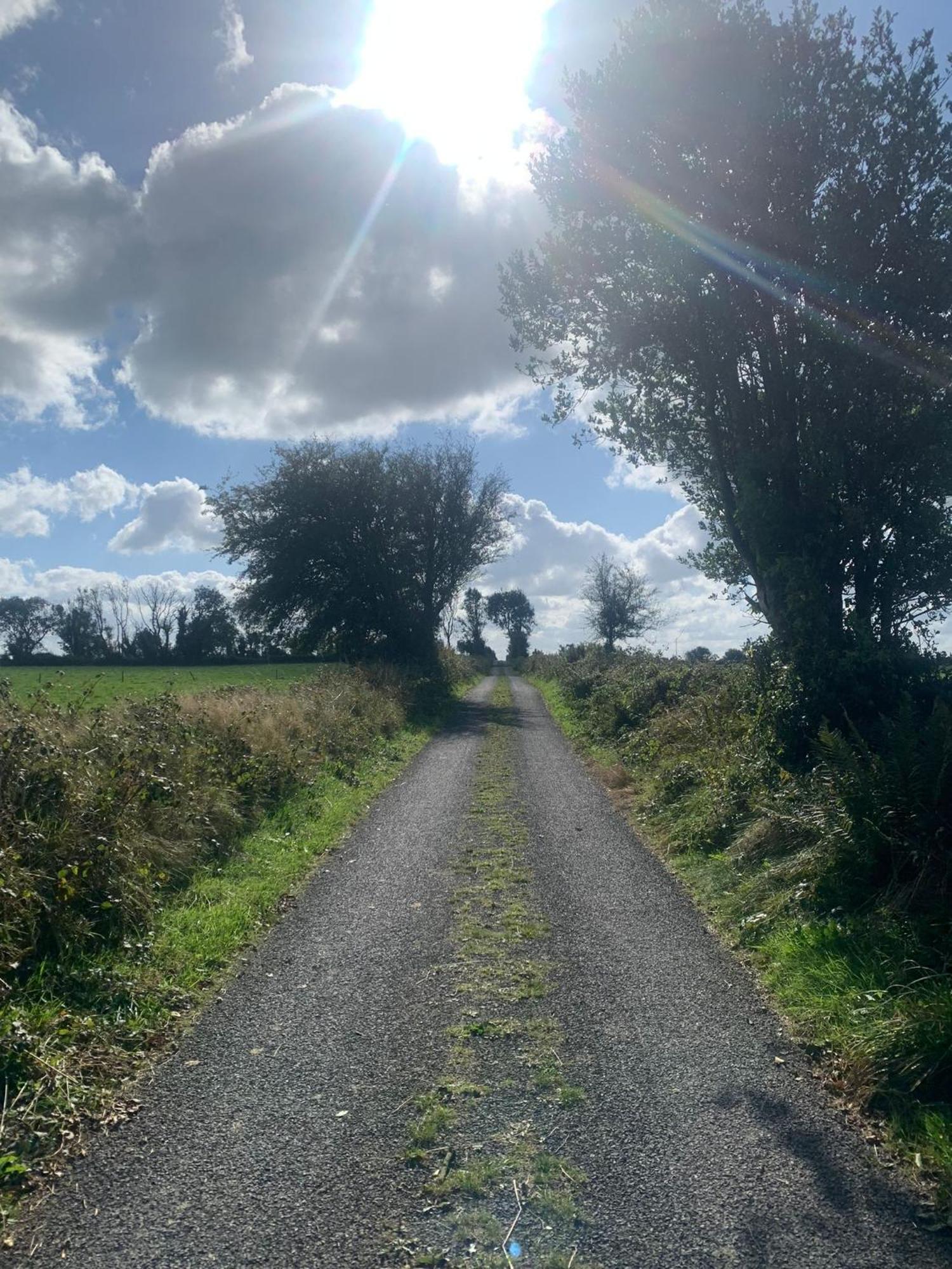 Country Haven Eircode H54 Ak31 Galway Exterior foto